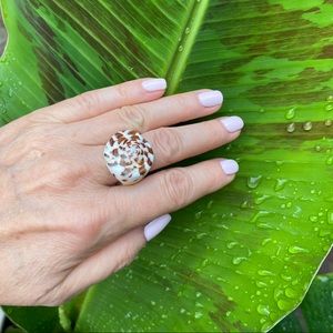 Seashell glazed ring